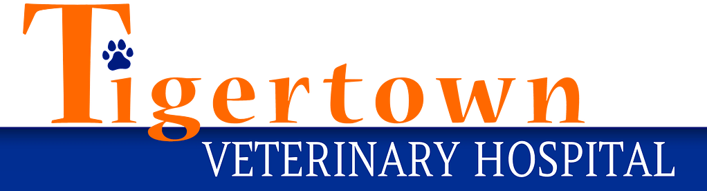 Tigertown Logo
